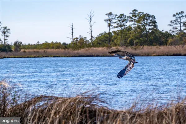 $829,900 | 10148 Champ Road, Princess Anne, MD 21853