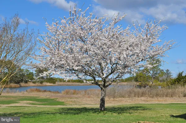 $829,900 | 10148 Champ Road, Princess Anne, MD 21853