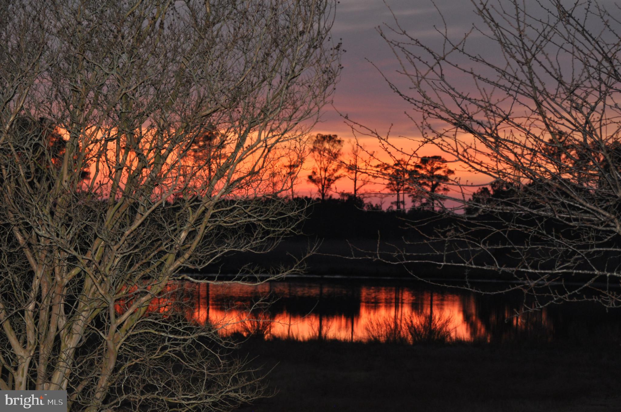 10148 Champ Road Princess Anne, MD 21853 - Photo 9 of 16 Serene sunset reflecting on tranquil waters.