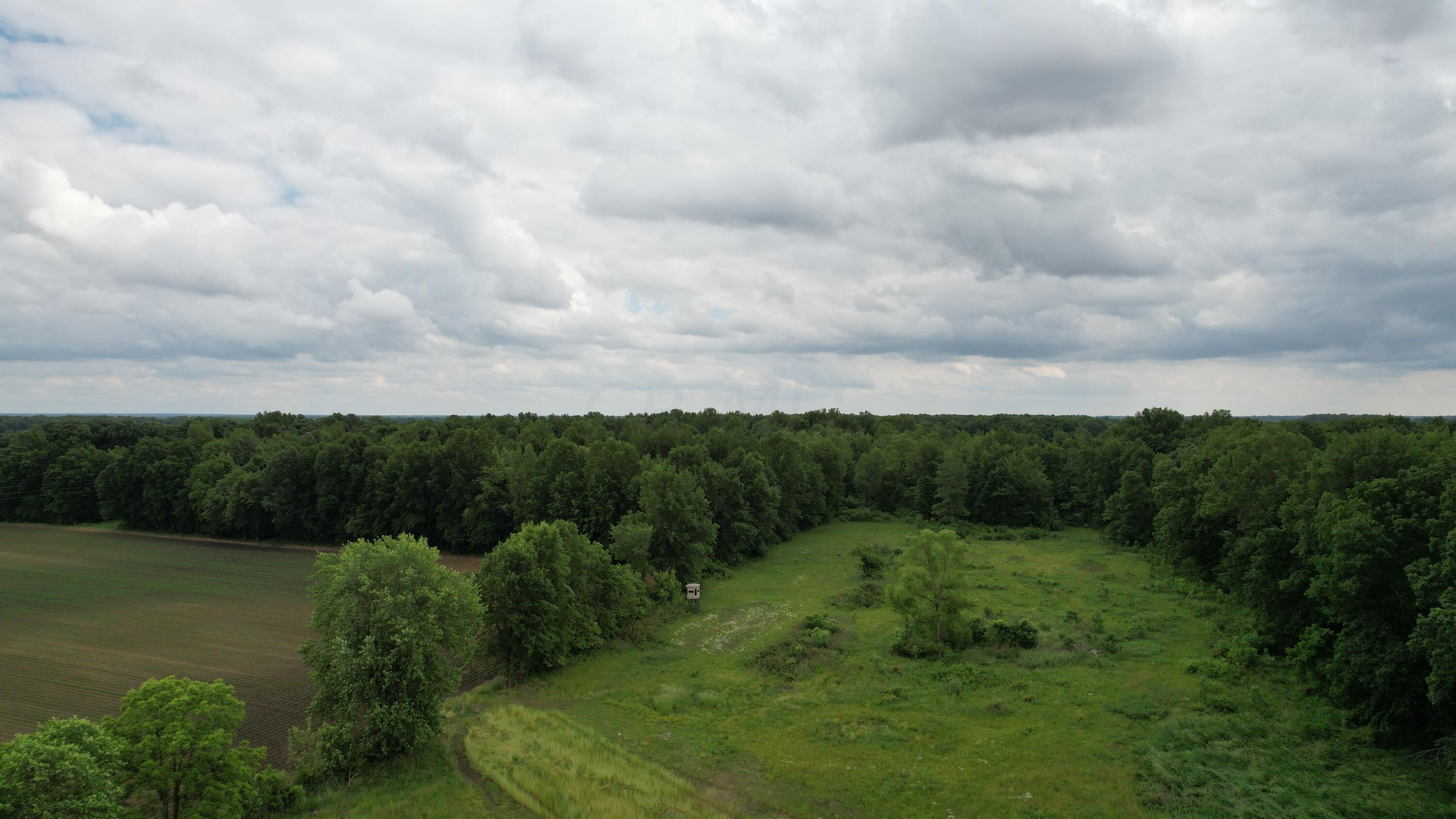 0 Fairchild Road Cardington, OH 43315 - Photo 7 of 16 Food Plot Area