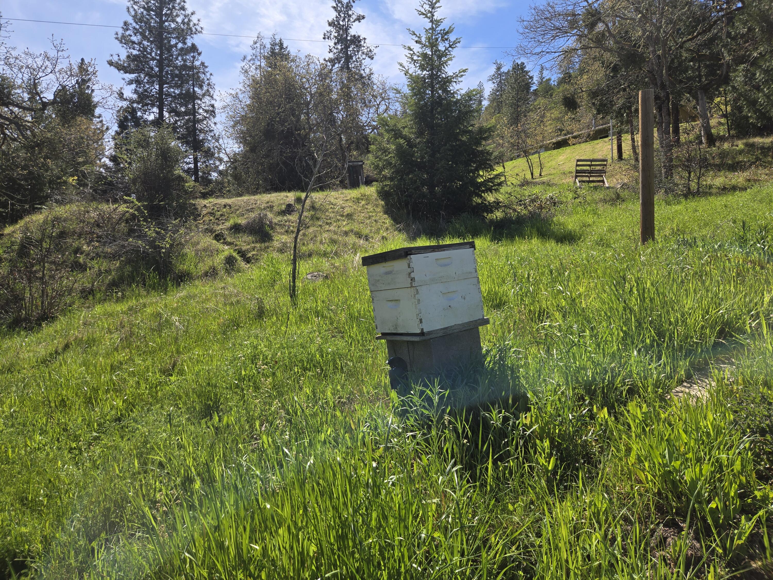 12726 Water Gap Road Williams, OR 97544 - Photo 44 of 47