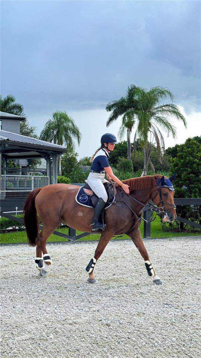 2625 Southwest 148th Avenue Davie, FL 33331 - Photo 16 of 55