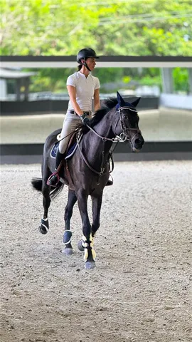 $8,750,000 | 2625 Southwest 148th Avenue, Davie, FL 33331