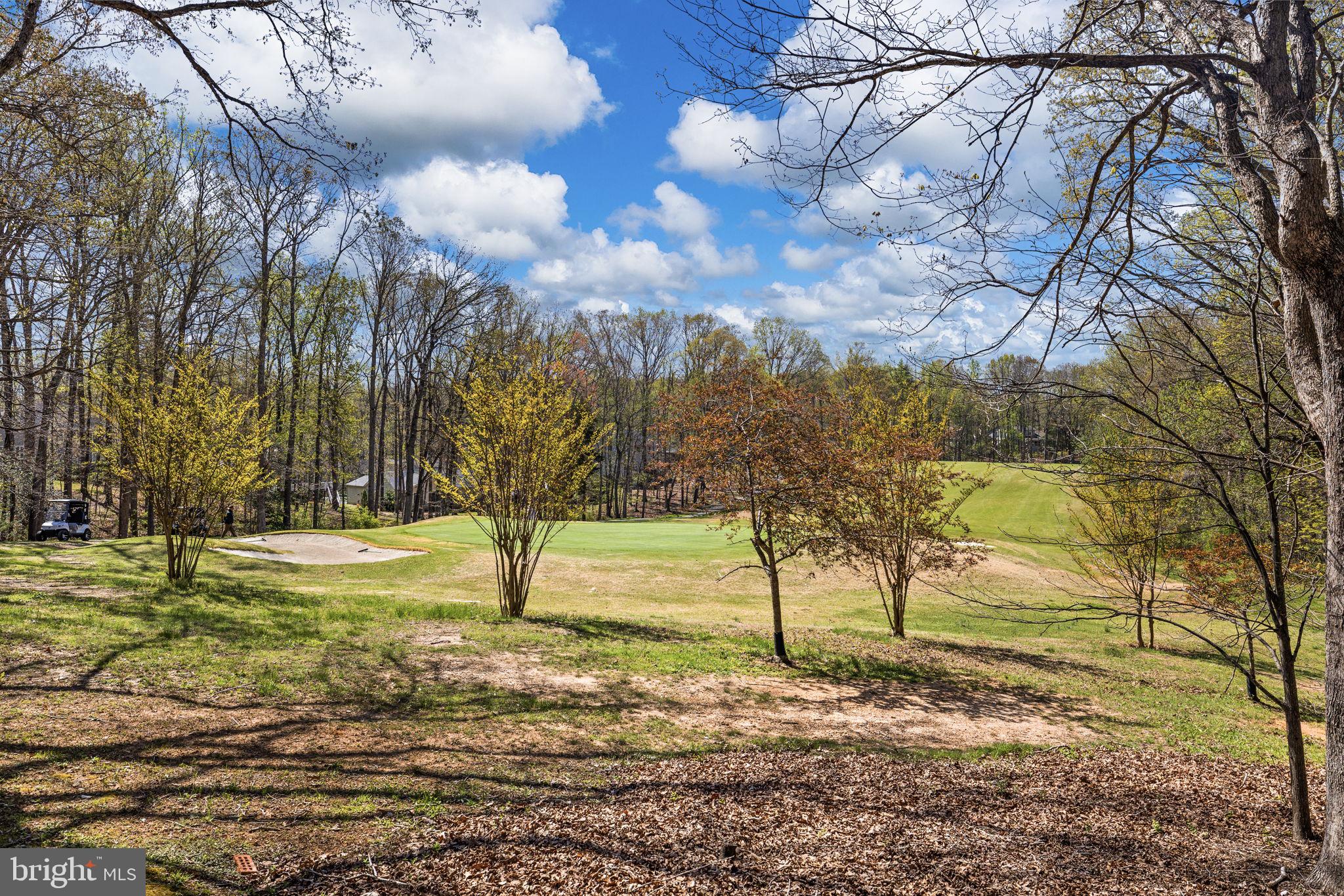 111 Chesterfield Court Locust Grove, VA 22508 - Photo 11 of 97 a view of yard with large trees