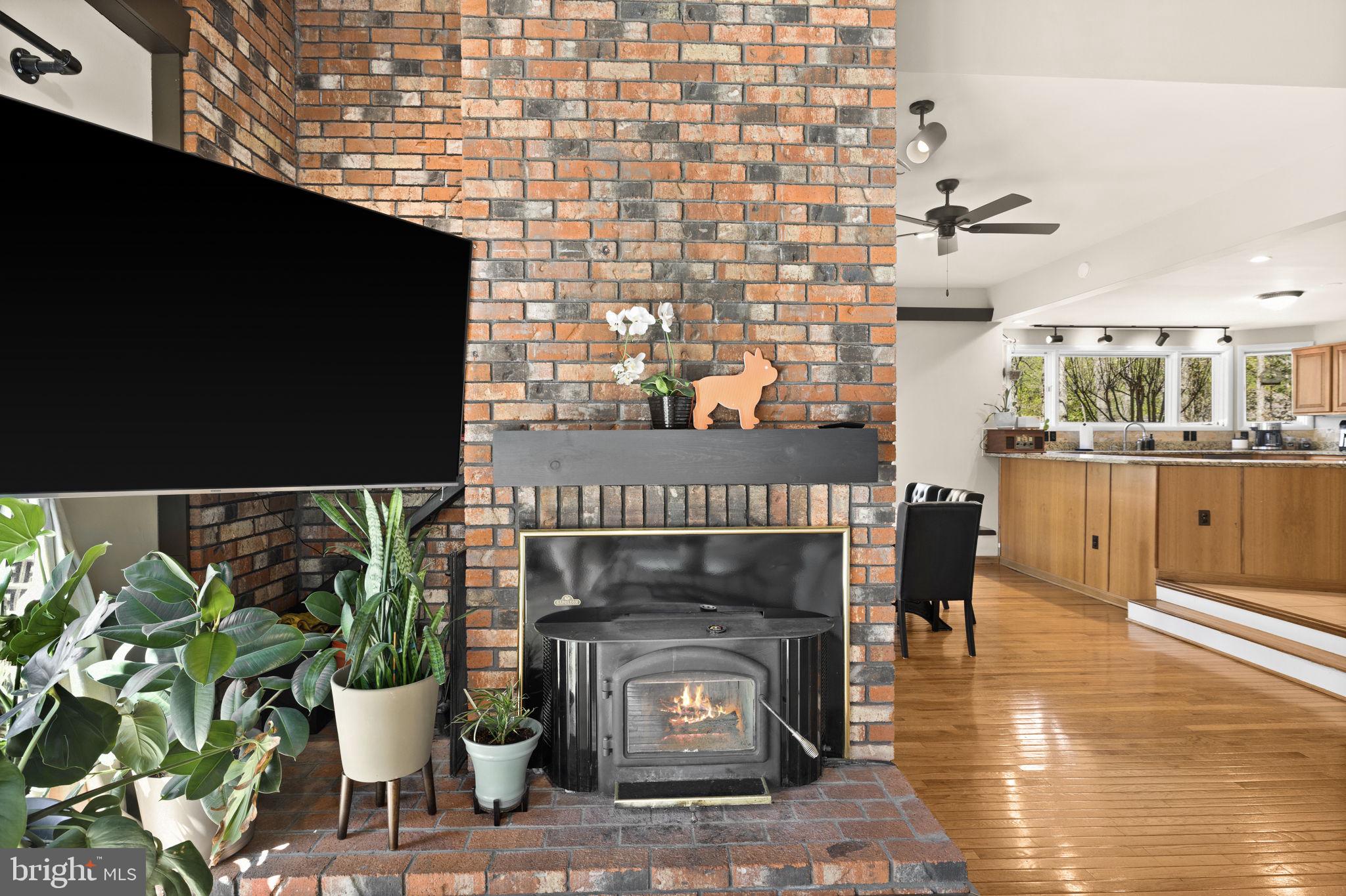 111 Chesterfield Court Locust Grove, VA 22508 - Photo 23 of 97 living area fire place insert