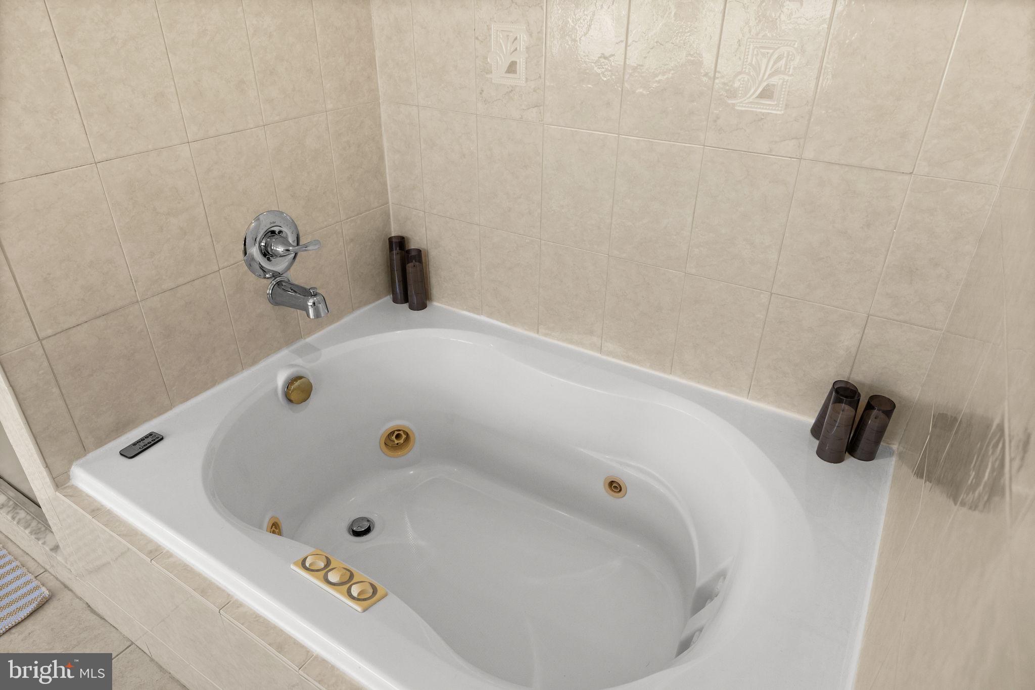 111 Chesterfield Court Locust Grove, VA 22508 - Photo 38 of 97 Primary tub