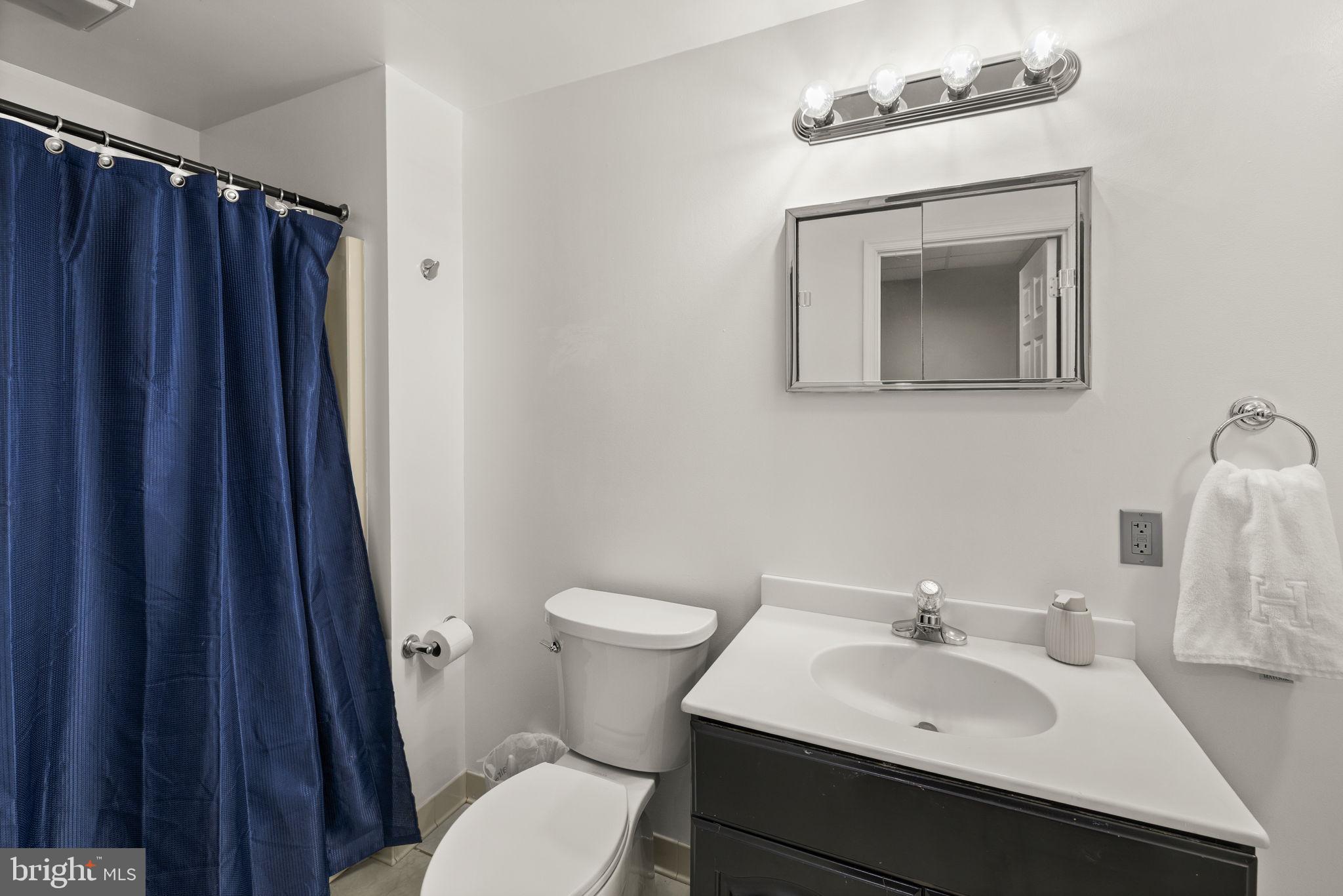 111 Chesterfield Court Locust Grove, VA 22508 - Photo 47 of 97 a bathroom with a sink vanity mirror and toilet