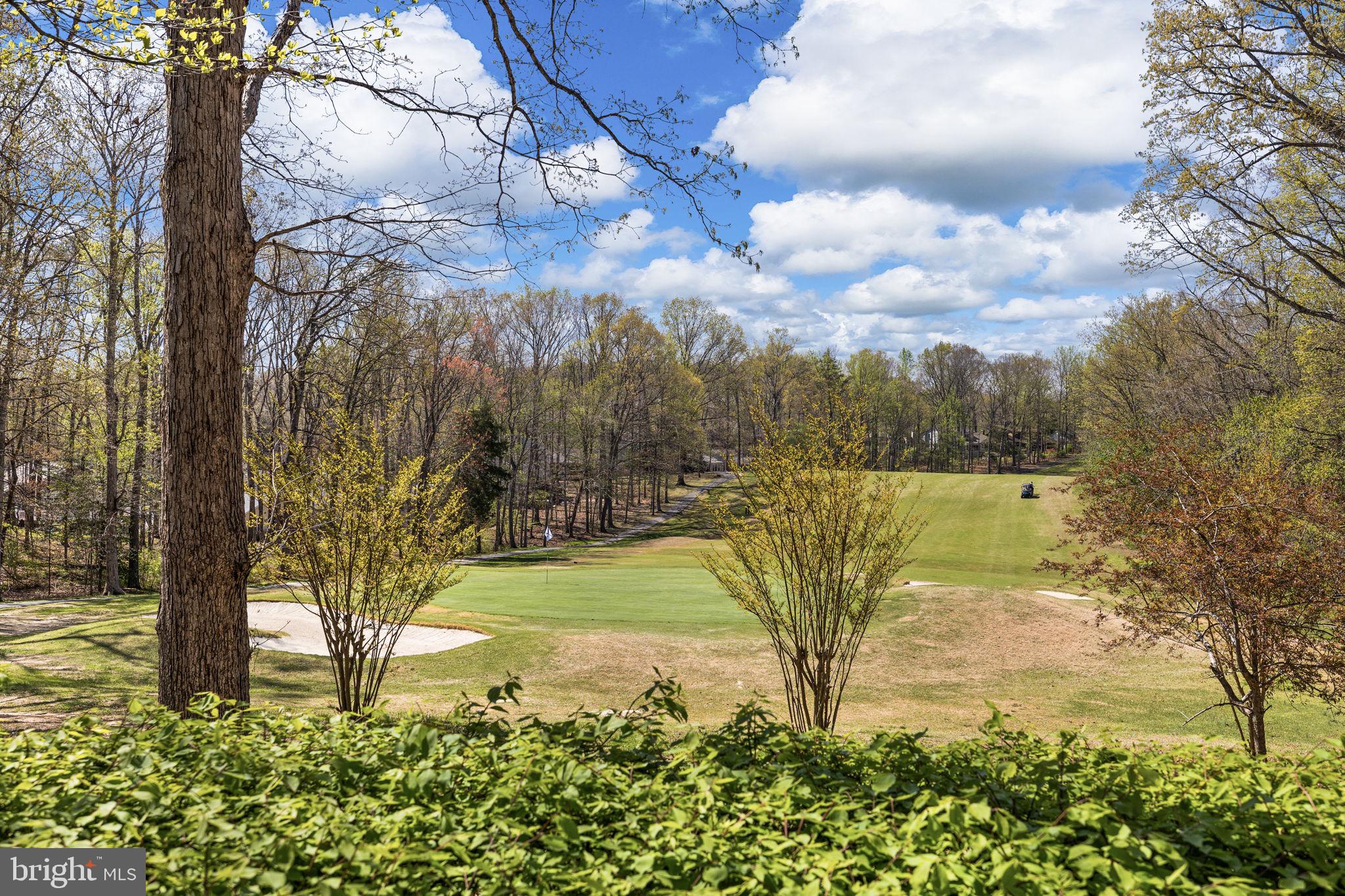111 Chesterfield Court Locust Grove, VA 22508 - Photo 5 of 97 view of golf course