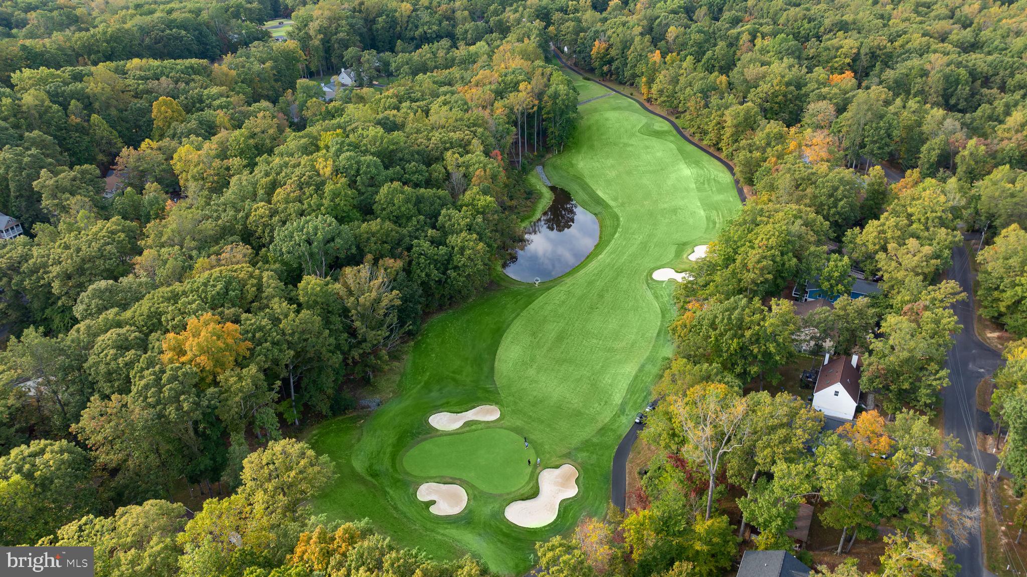 111 Chesterfield Court Locust Grove, VA 22508 - Photo 69 of 97 an aerial view of a residential houses with outdoor space and trees all around