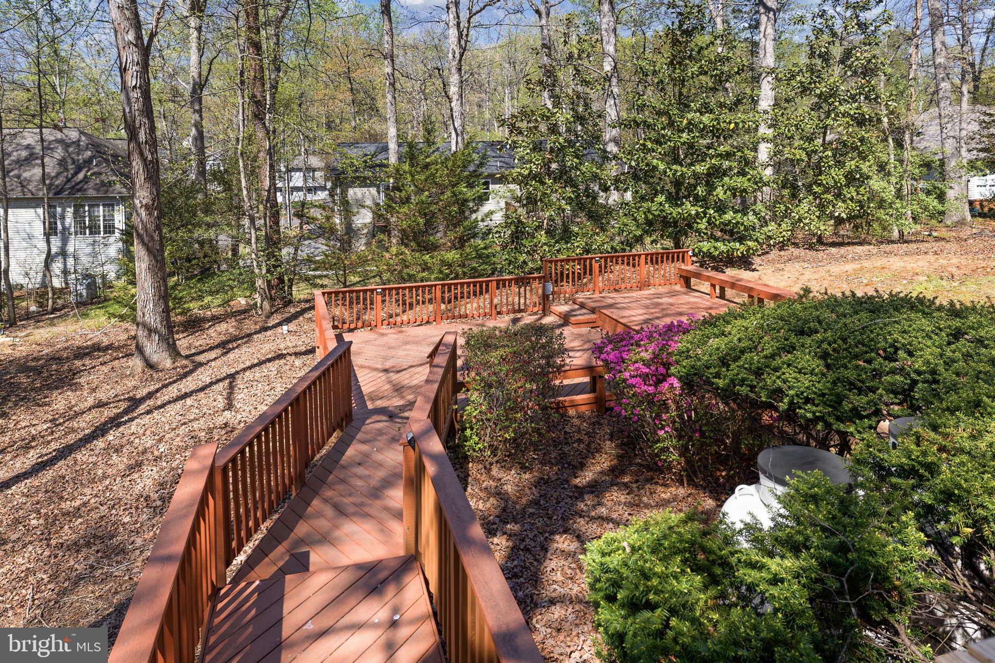 111 Chesterfield Court Locust Grove, VA 22508 - Photo 7 of 97 a view of a yard with plants and large trees