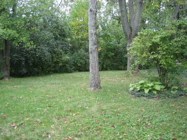 3869 Chevington Road Columbus, OH 43220 - Photo 3 of 11
