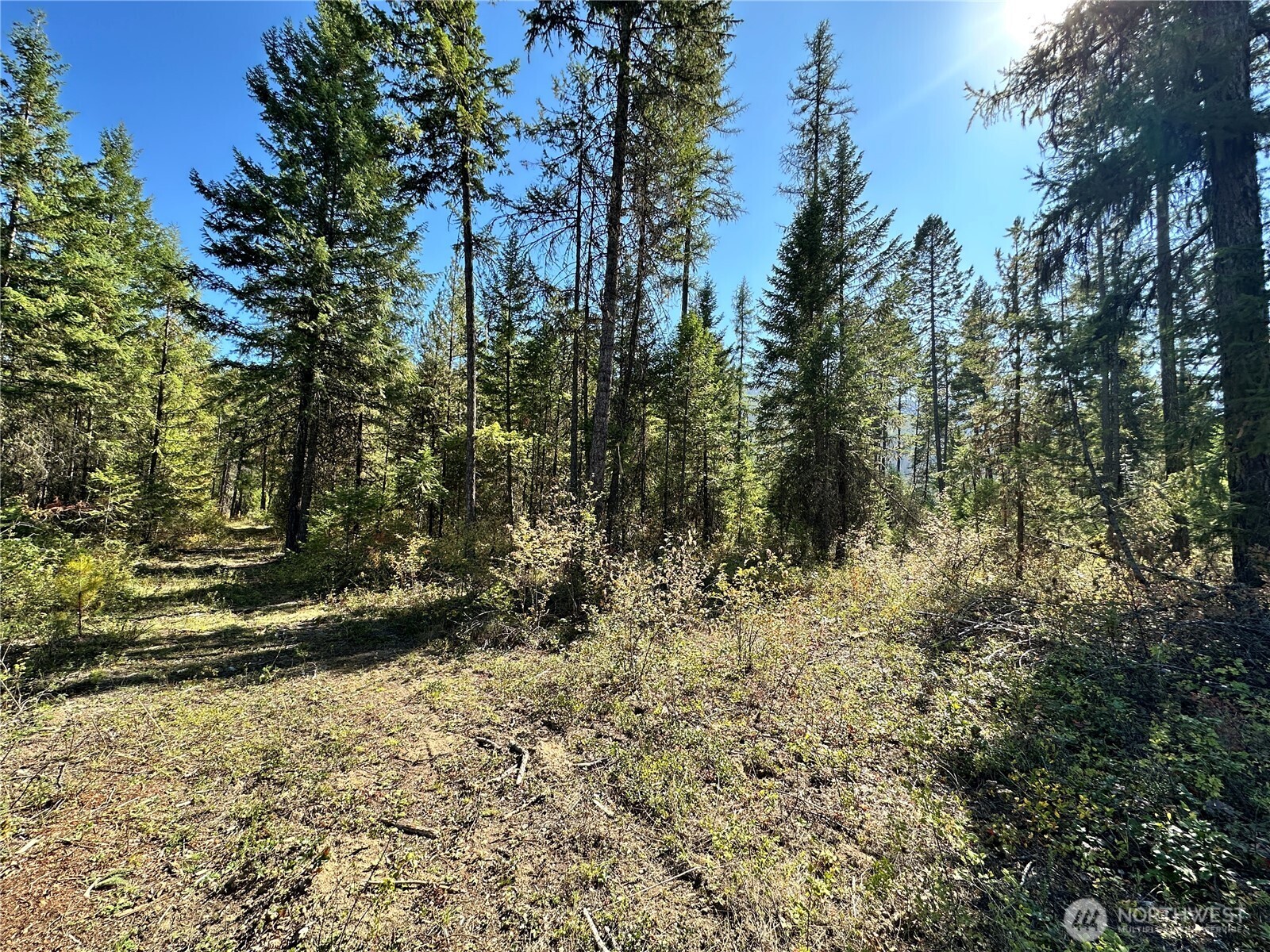4 Deadman Creek Road Kettle Falls, WA 99141 - Photo 8 of 17 Gallery Image 8