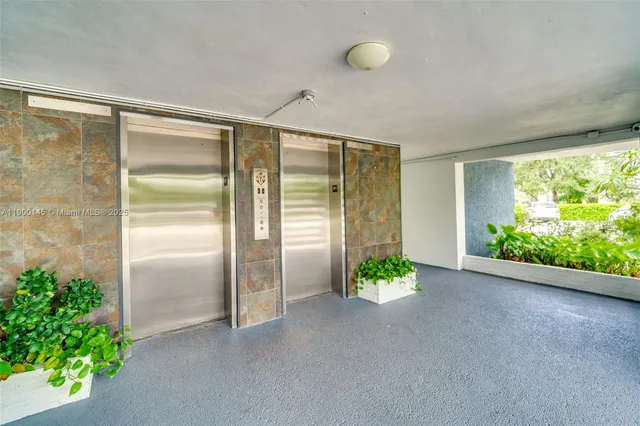 a view of a park with large trees