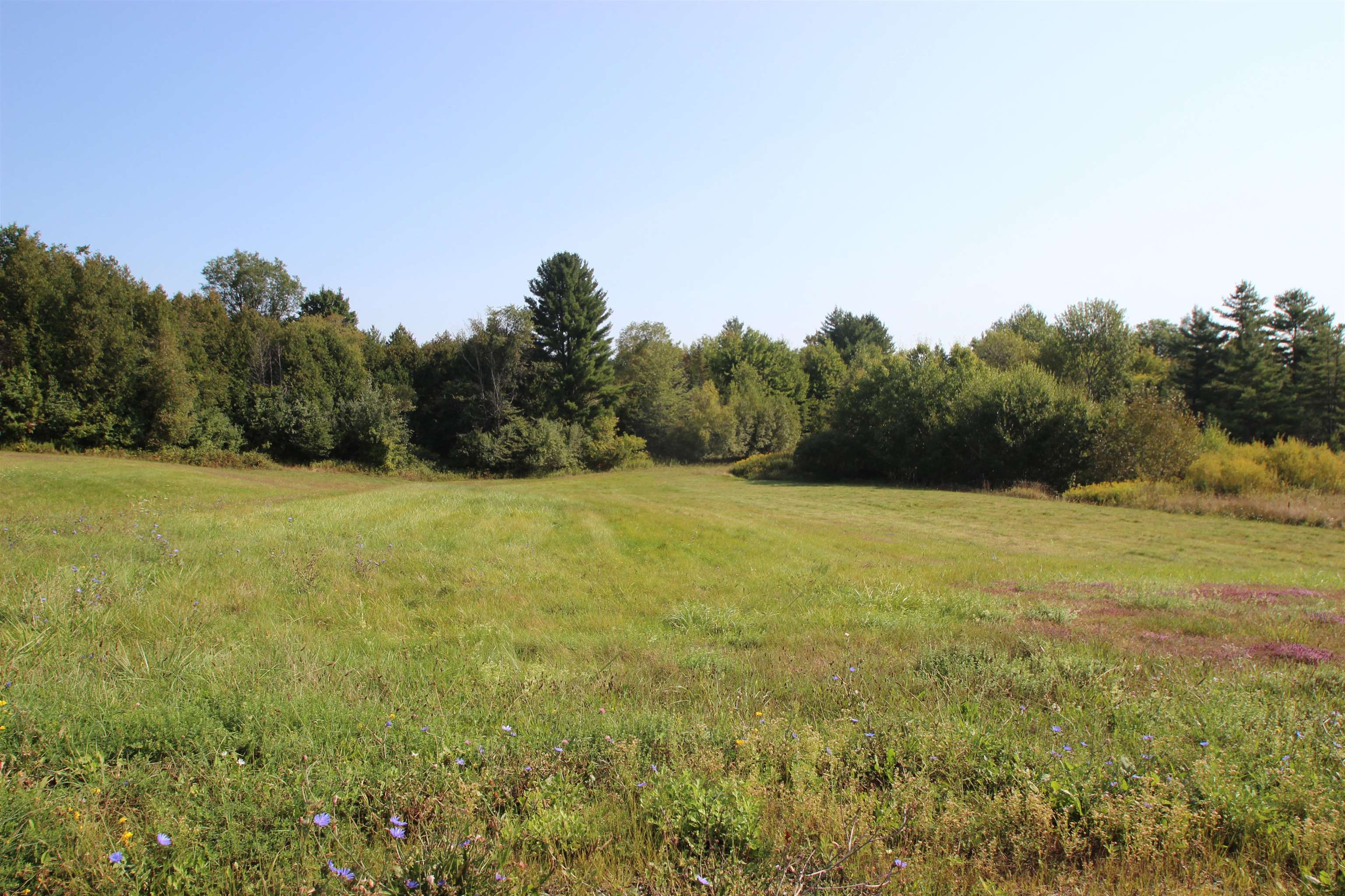 58 Warner Road Berlin, VT 05641 - Photo 4 of 9