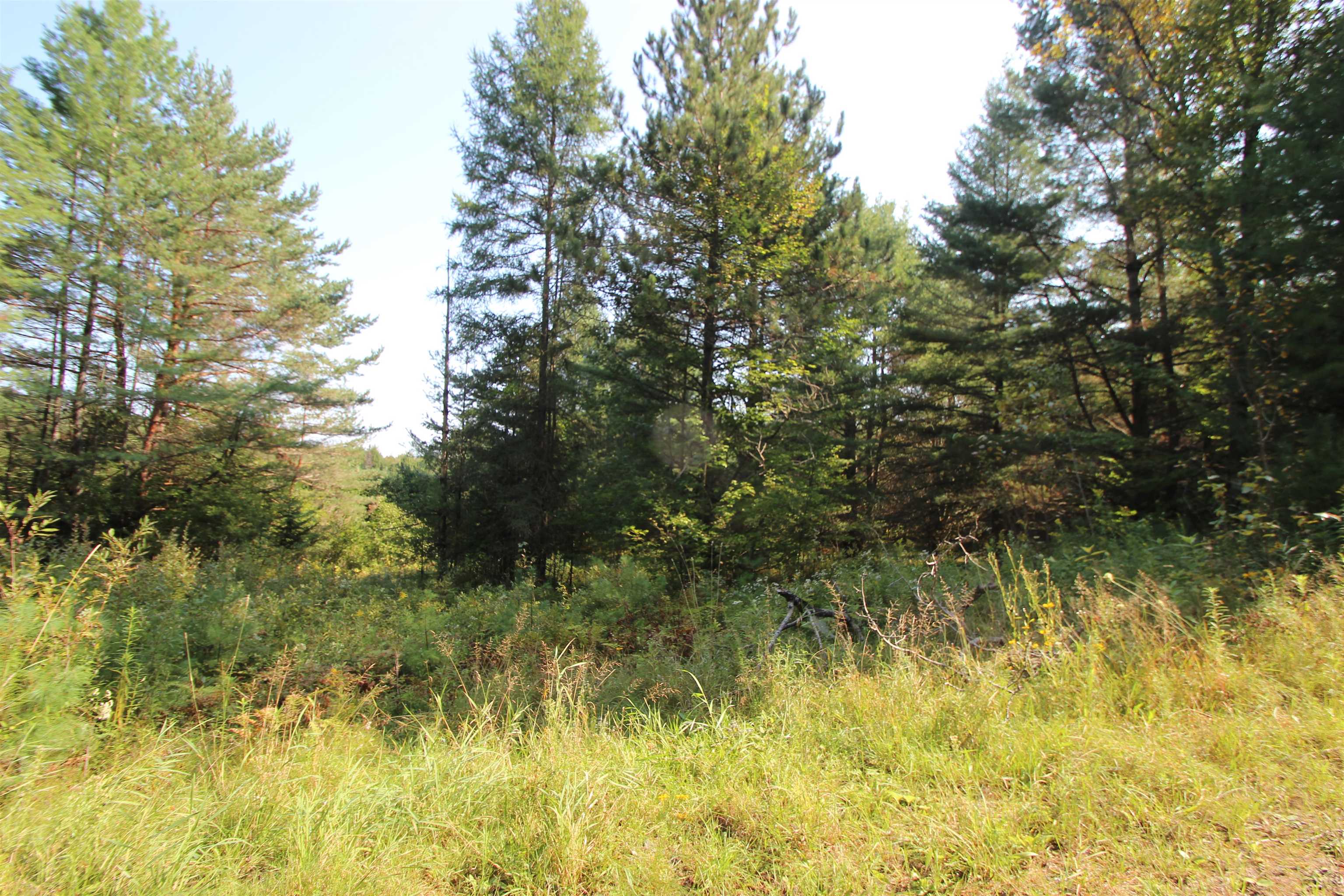 58 Warner Road Berlin, VT 05641 - Photo 8 of 9