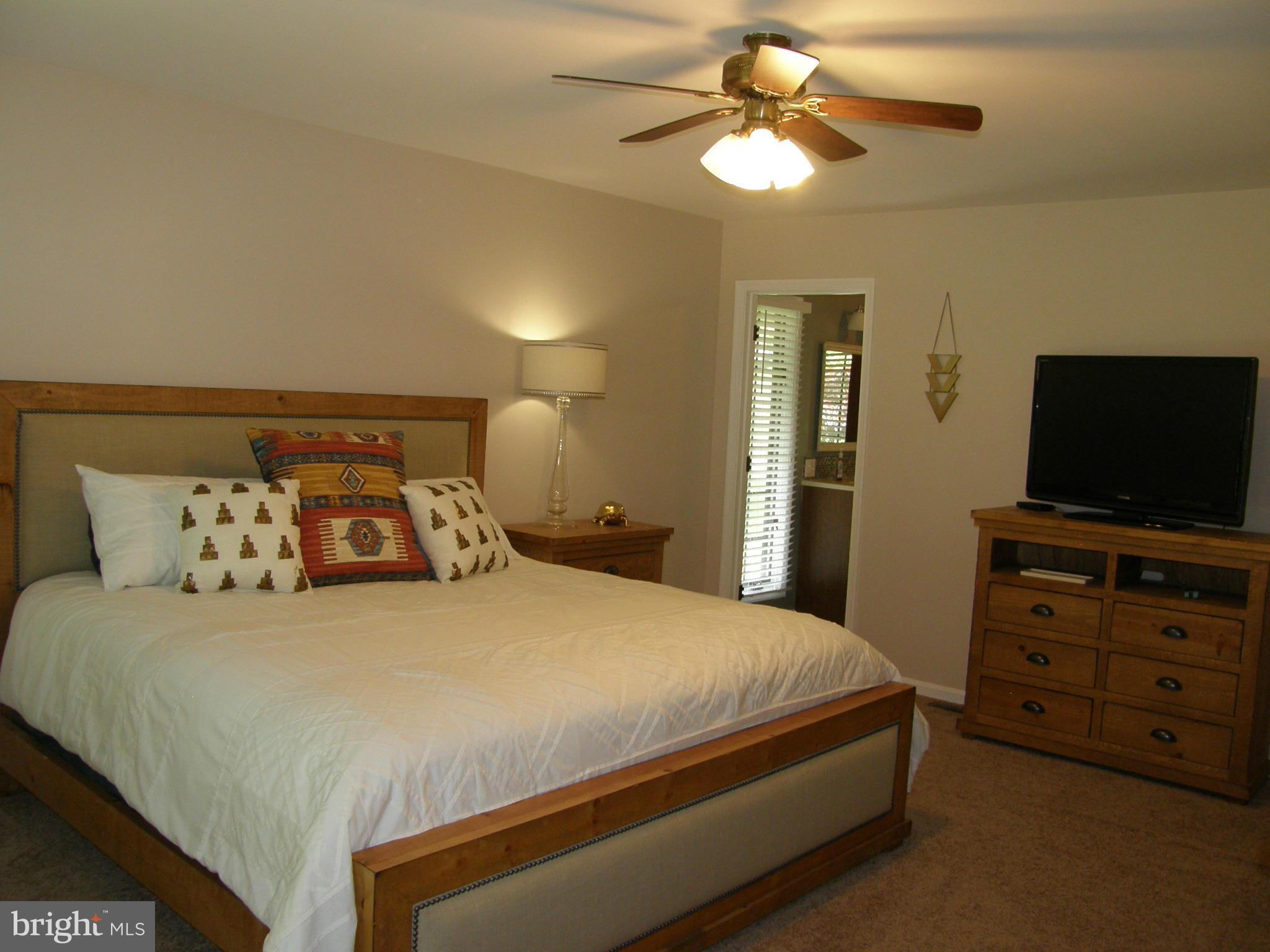 11025 Mountain Run Lake Road Culpeper, VA 22701 - Photo 16 of 30 Bedroom (Master)