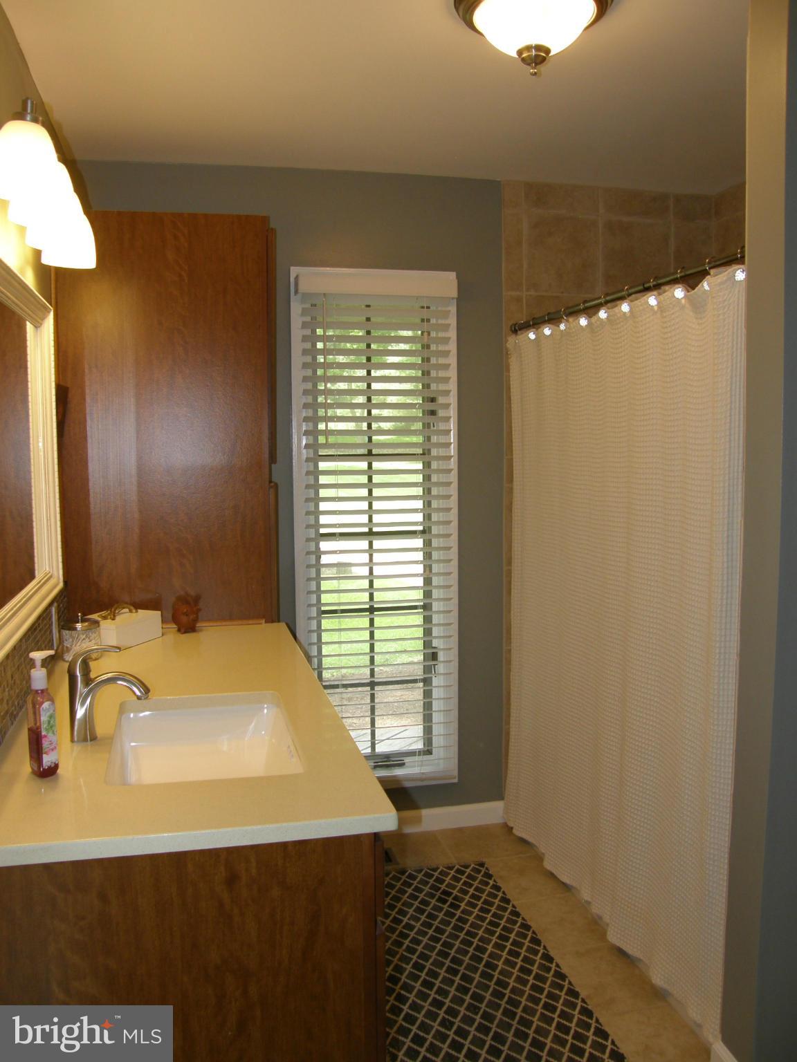 11025 Mountain Run Lake Road Culpeper, VA 22701 - Photo 18 of 30 Bath (Master)