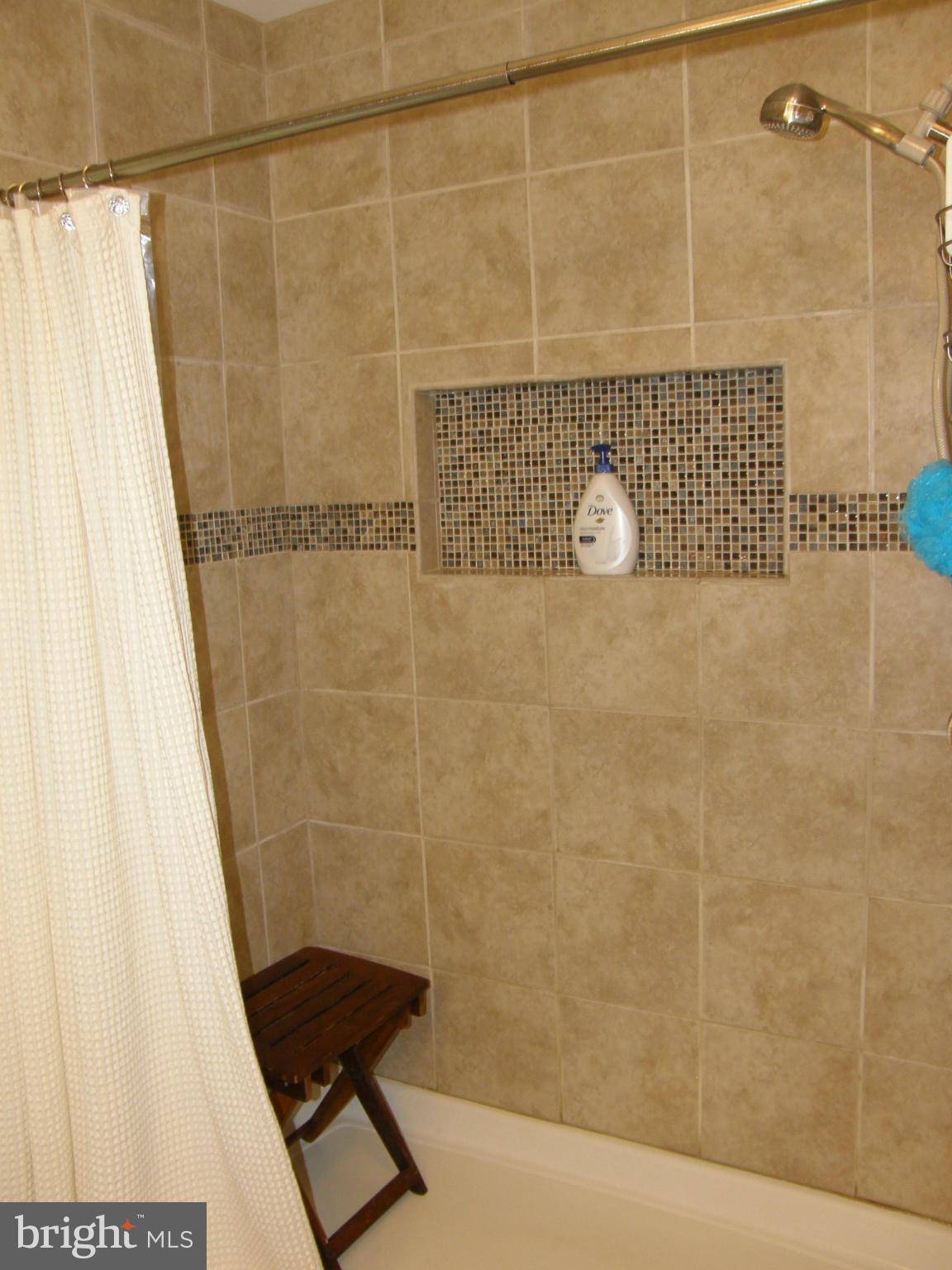 11025 Mountain Run Lake Road Culpeper, VA 22701 - Photo 19 of 30 Bath (Master)
