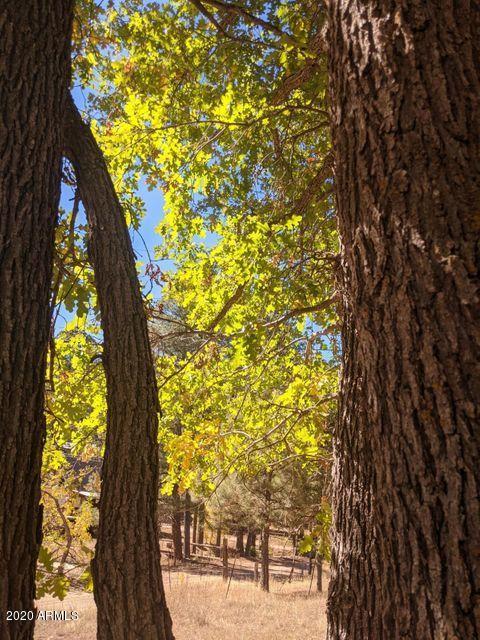697 Running Elk Road, Unit 103 Payson, AZ 85541 - Photo 7 of 8 7