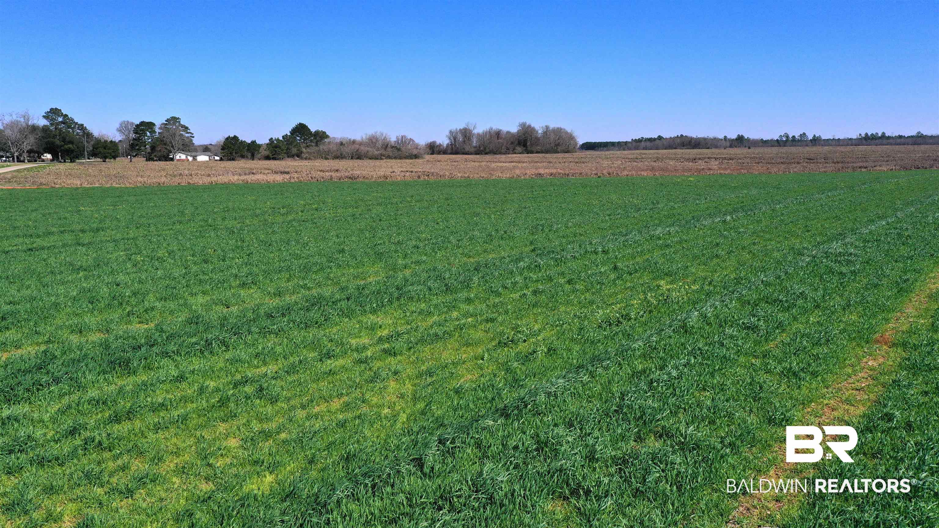 Lot 7 Mack Pond Road Atmore, AL 36502 - Photo 14 of 17