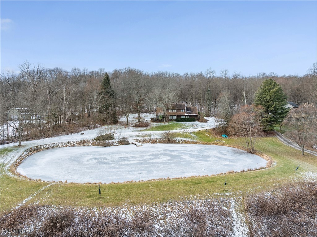 7014 River Styx Road Medina, OH 44256 - Photo 41 of 49 Snowy yard featuring a wooded view