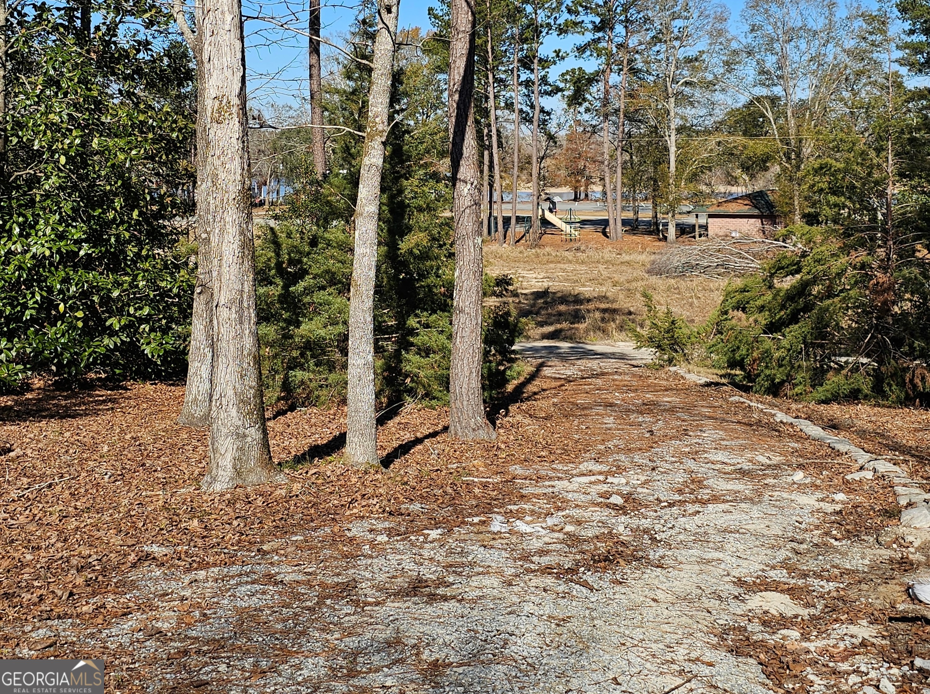 2262 Carter Bight Landing Road Surrency, GA 31563 - Photo 15 of 18 a view of a yard with plants and trees