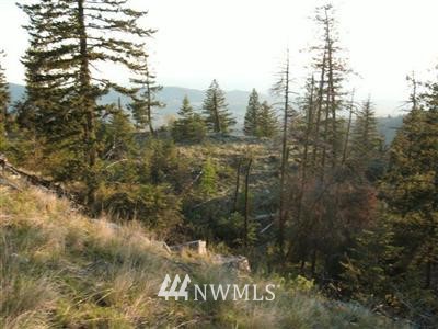 -tbd Hatchet Creek Road Riverside, WA 98849 - Photo 1 of 1 Gallery Image 1