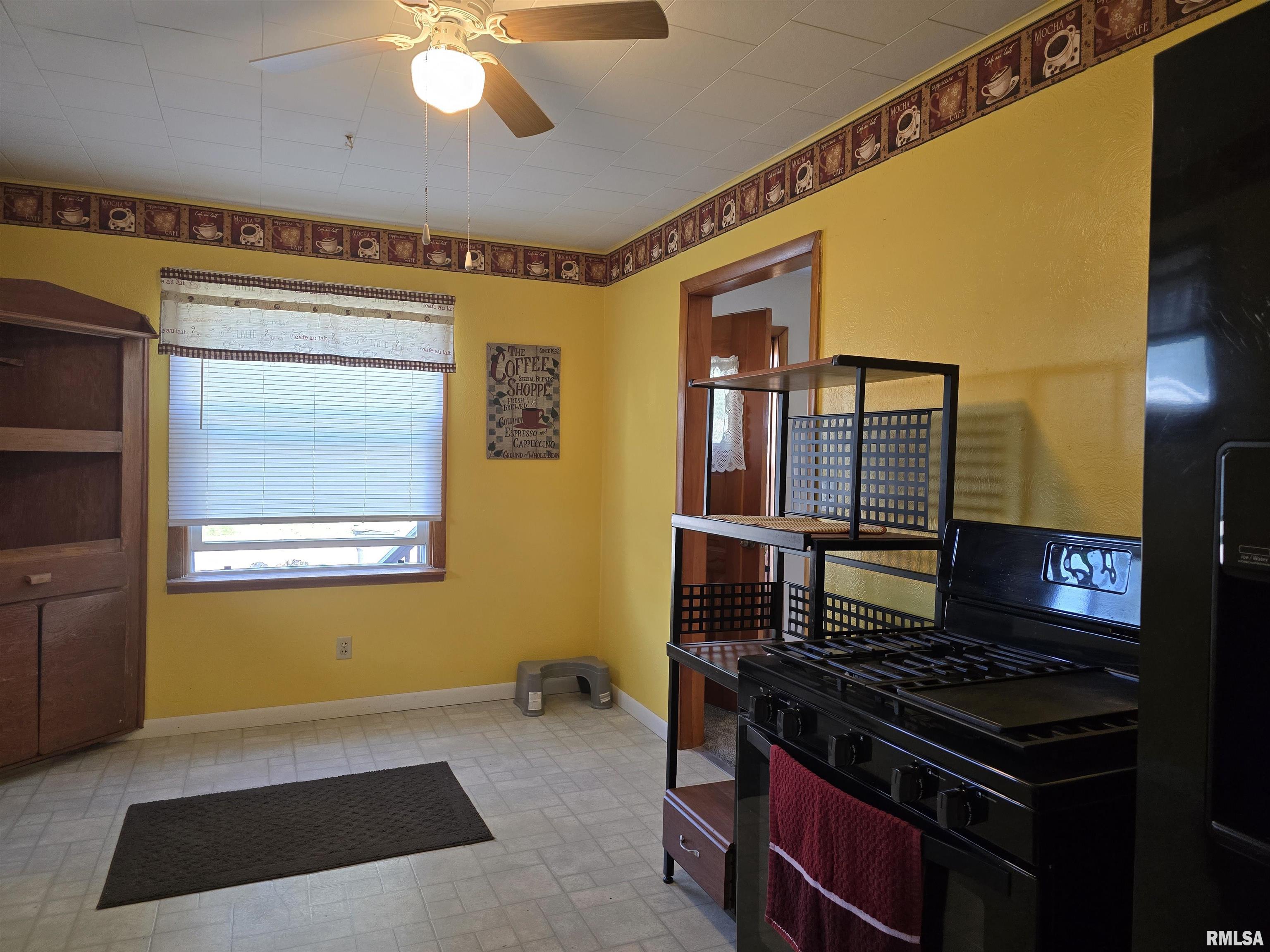 746 North 7th Avenue Canton, IL 61520 - Photo 13 of 48