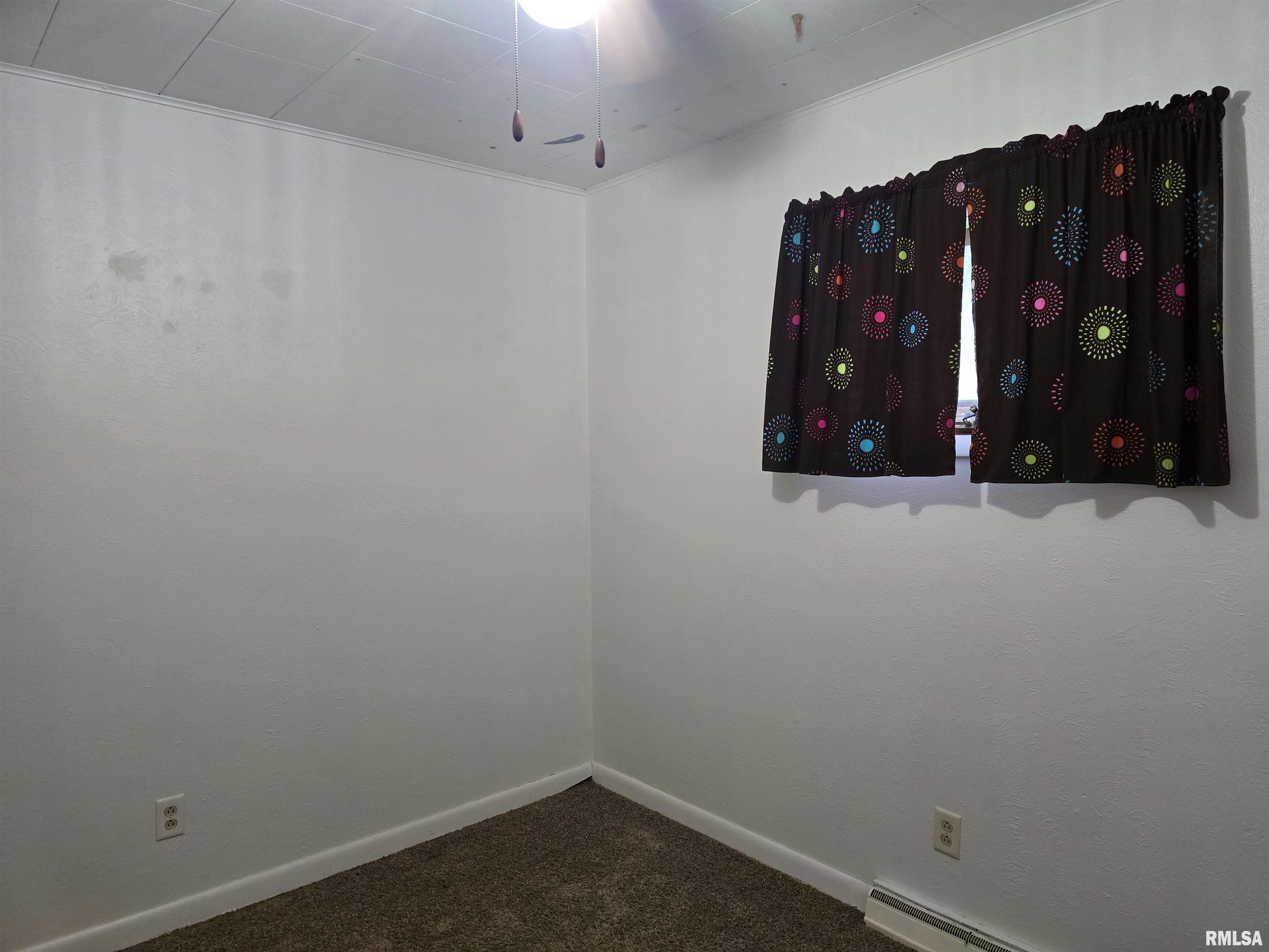 746 North 7th Avenue Canton, IL 61520 - Photo 21 of 48