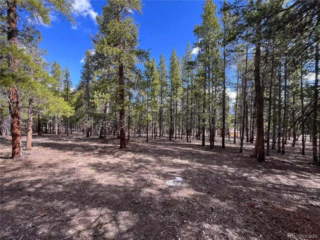 $225,000 | 30336 National Forest Drive, Buena Vista, CO 81211