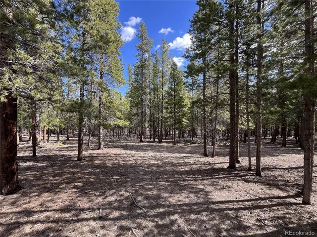 $225,000 | 30336 National Forest Drive, Buena Vista, CO 81211