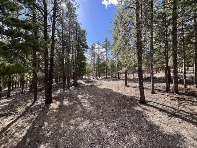 $225,000 | 30336 National Forest Drive, Buena Vista, CO 81211