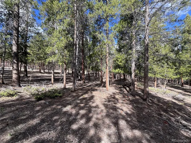 $225,000 | 30336 National Forest Drive, Buena Vista, CO 81211