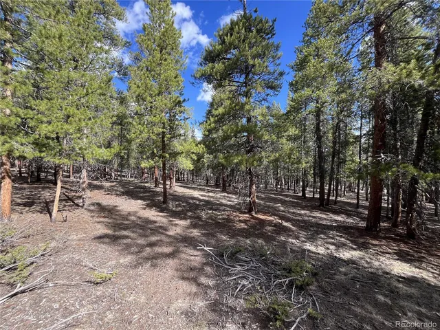 $225,000 | 30336 National Forest Drive, Buena Vista, CO 81211