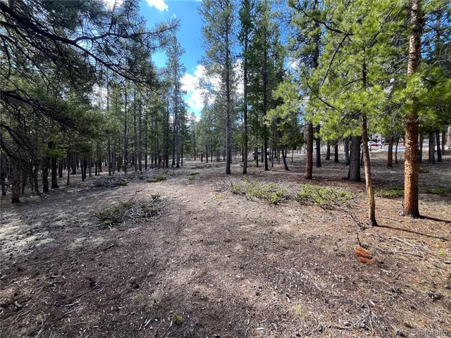 $225,000 | 30336 National Forest Drive, Buena Vista, CO 81211
