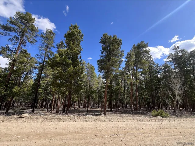 $225,000 | 30336 National Forest Drive, Buena Vista, CO 81211