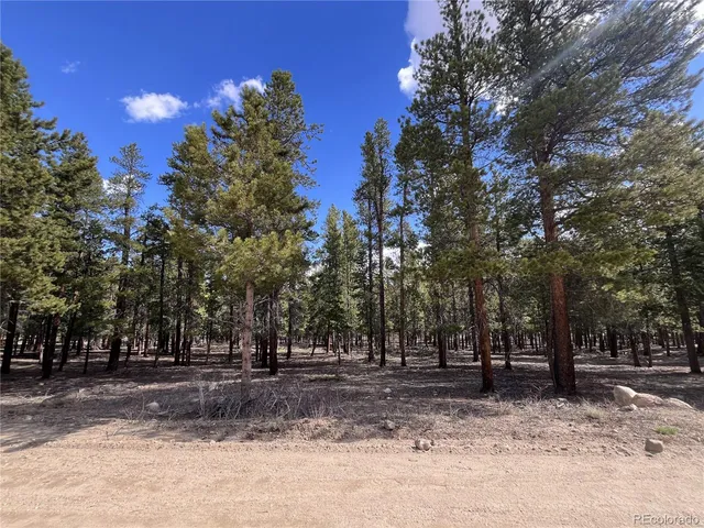$225,000 | 30336 National Forest Drive, Buena Vista, CO 81211