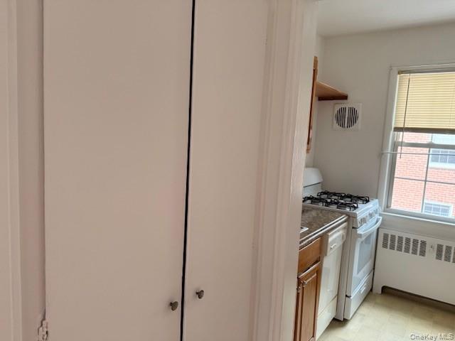 180 Pinewood Road, Unit 10 Hartsdale, NY 10530 - Photo 12 of 16 View from entry way showing large closet