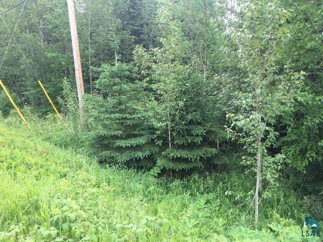 Two Pine Bay Loop Two Harbors, MN 55616 - Photo 3 of 9 Gallery Image 3