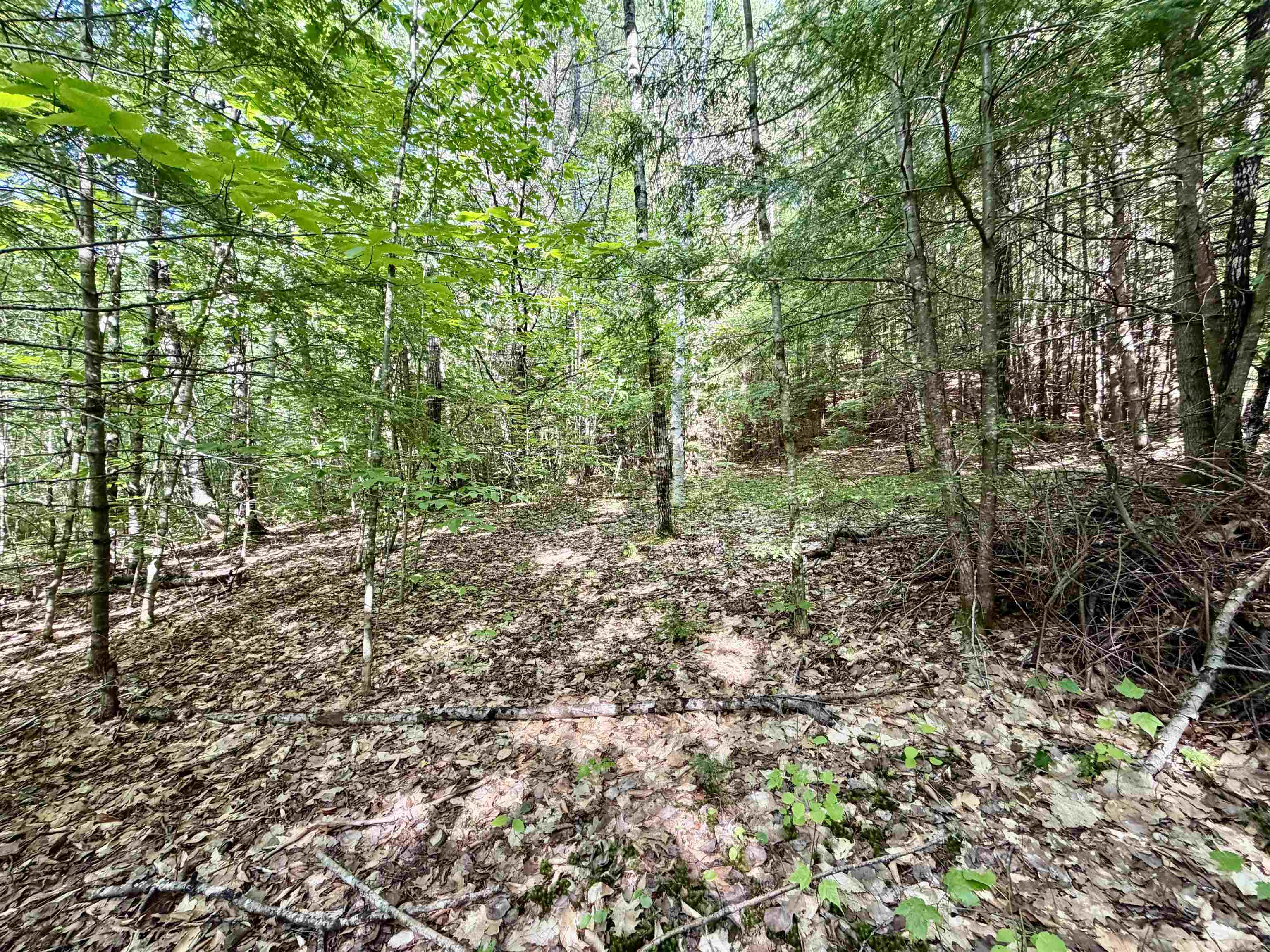 175 Nh Route Campton, NH 03223 - Photo 9 of 15