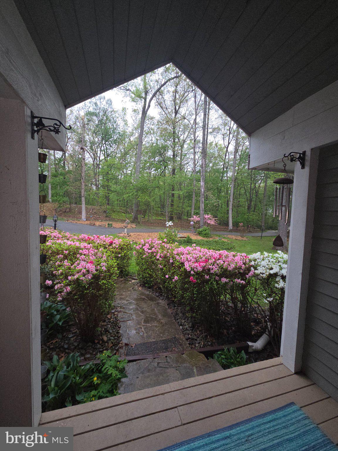 151 Martz Road Sykesville, MD 21784 - Photo 62 of 74 Charming entryway with blooming azaleas.