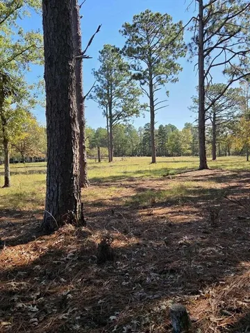$499,900 | 30 Old Mulberry Farm Trail, Wagener, SC 29164