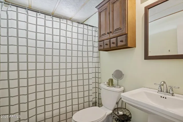 a bathroom with a sink a toilet and mirror