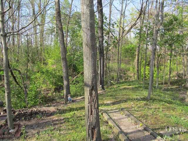 227 Briarwood Trail Decatur, IN 46733 - Photo 8 of 29