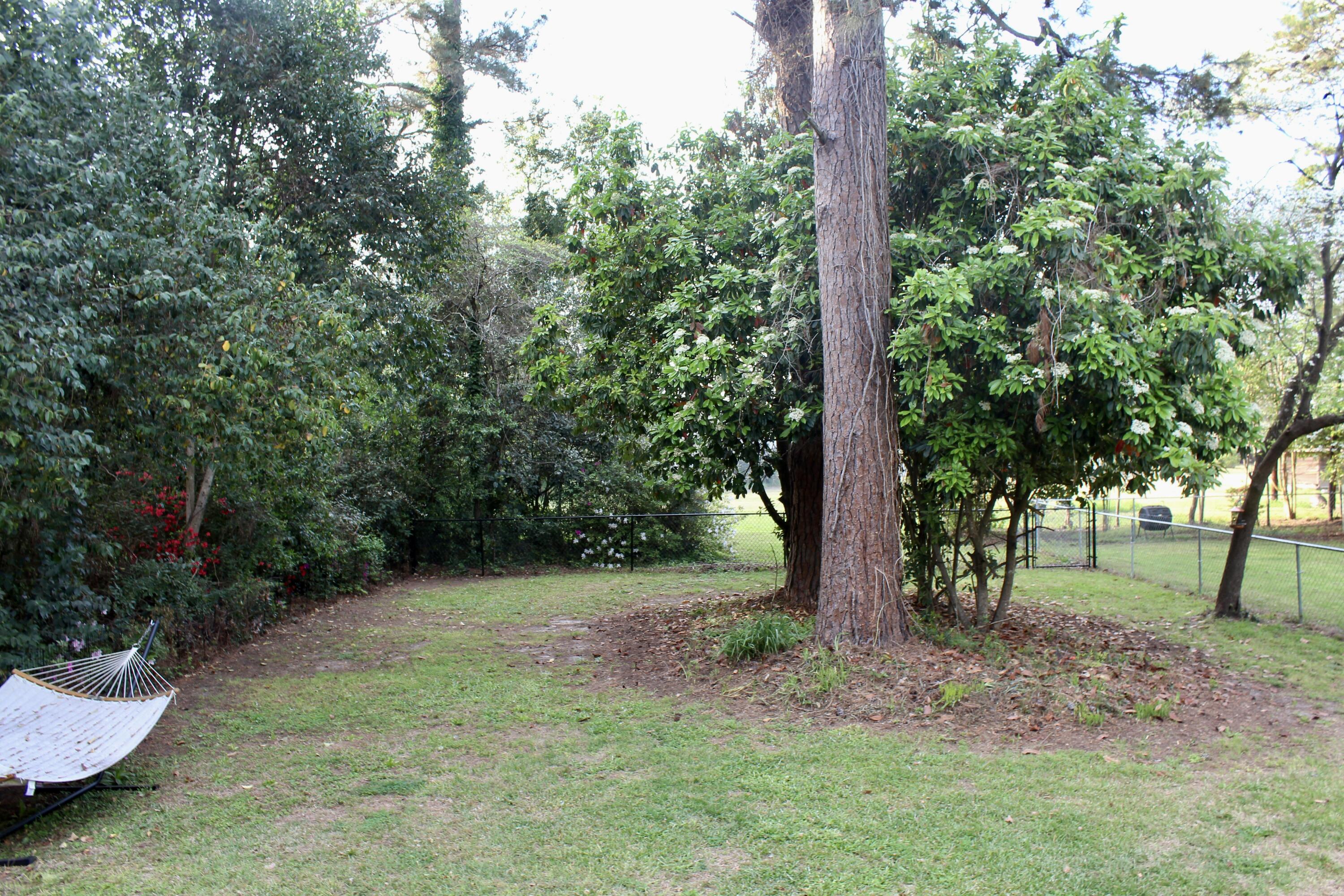 460 Hampton Street Elloree, SC 29047 - Photo 10 of 10 IMG_8546