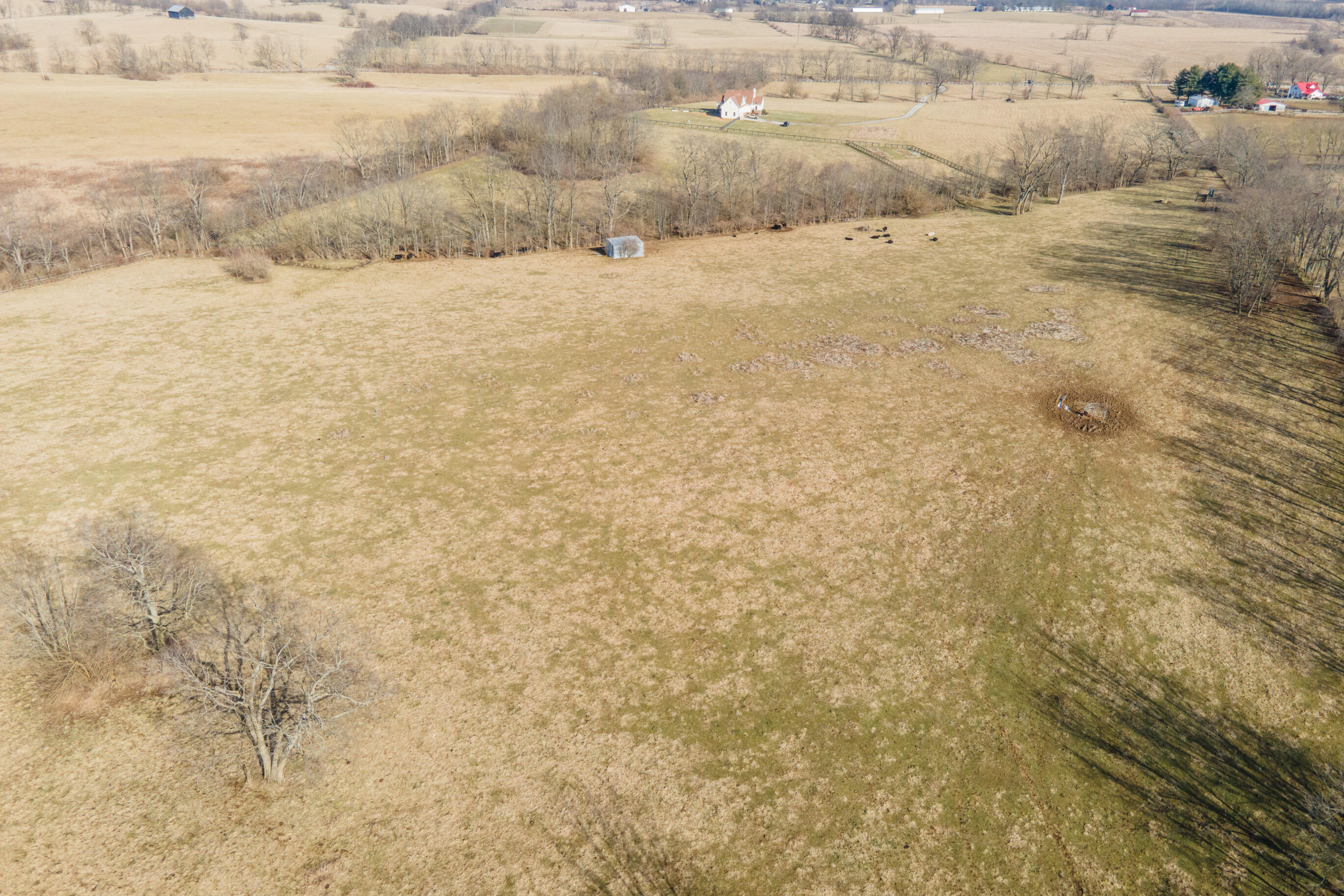 335 Hawkins - Cummins Road Paris, KY 40361 - Photo 13 of 18 20220201-345-Hawkins-Cummins-Rd-parker-d