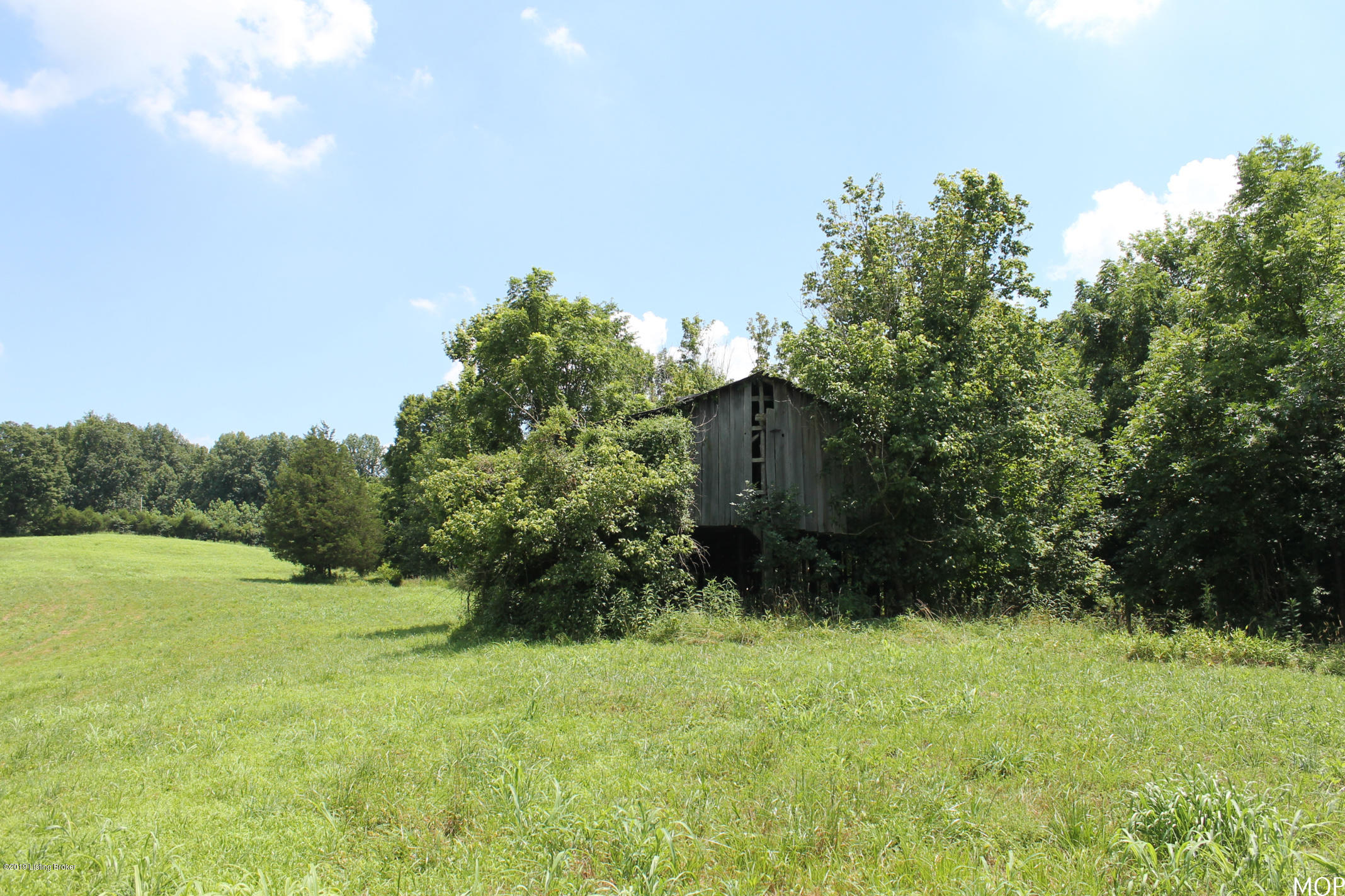 1000 Figett Bend Road Canmer, KY 42722 - Photo 14 of 61 IMG_2291