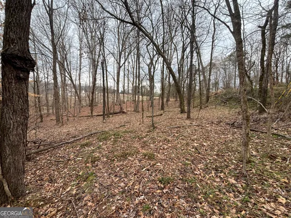 a view of empty space with trees