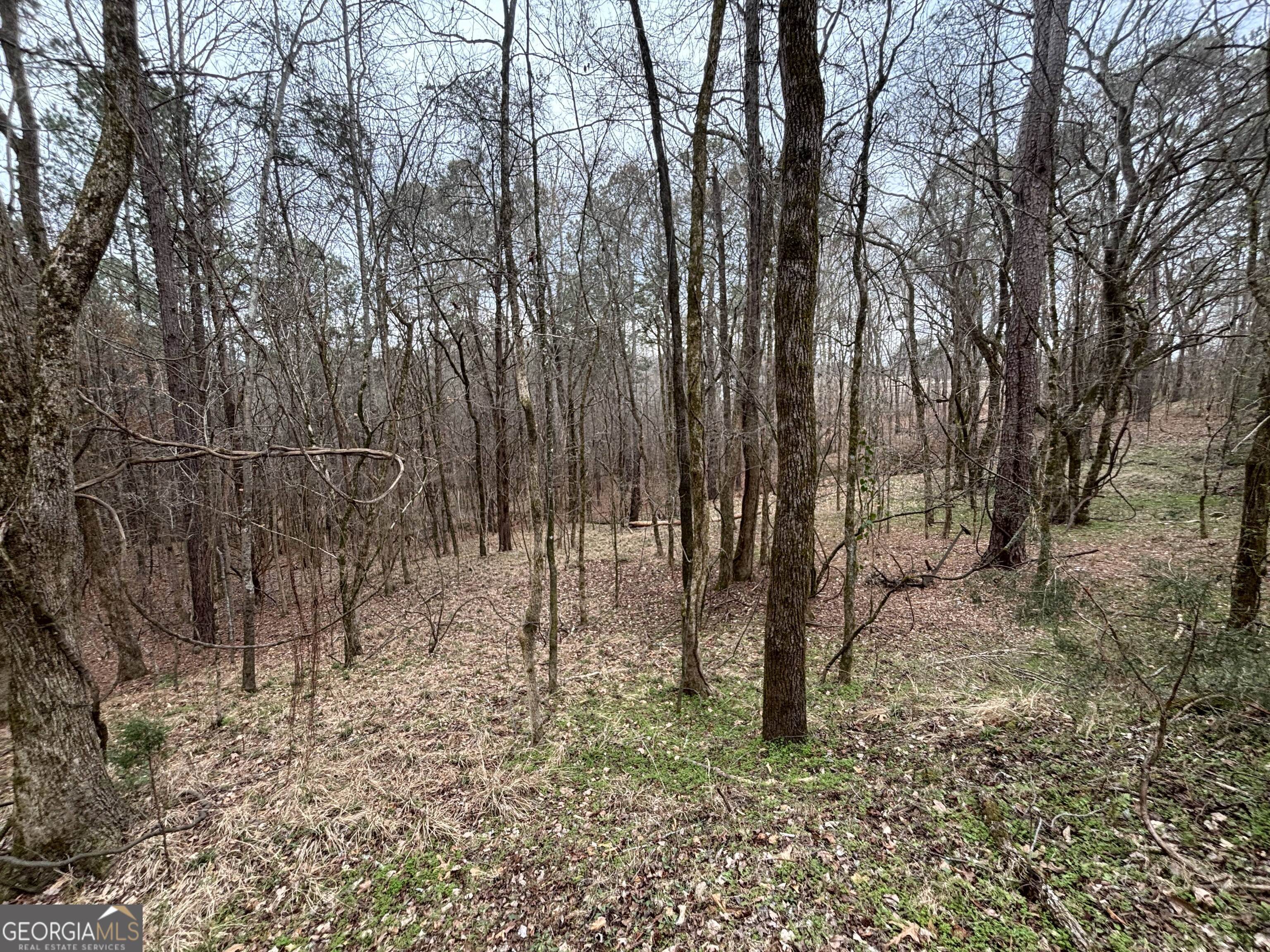 0 Oconee Road Buckhead, GA 30625 - Photo 2 of 9 a view of outdoor space with lots of trees