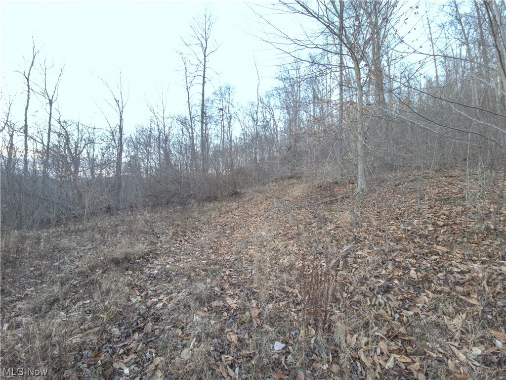 Rinehart Road Wallace, WV 26448 - Photo 14 of 14